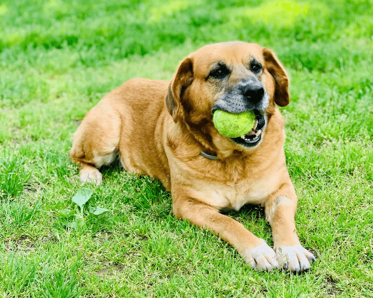 Rita