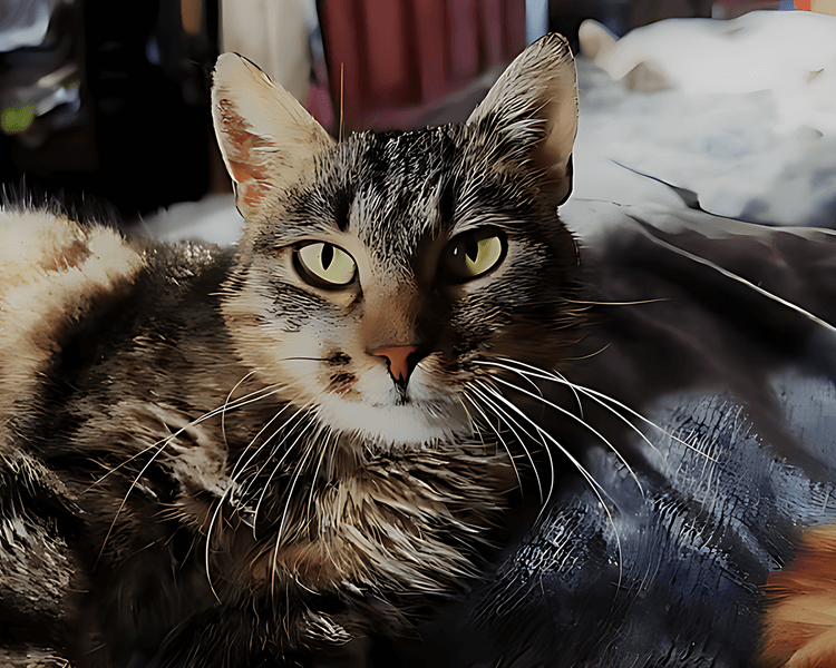 Wanilia
