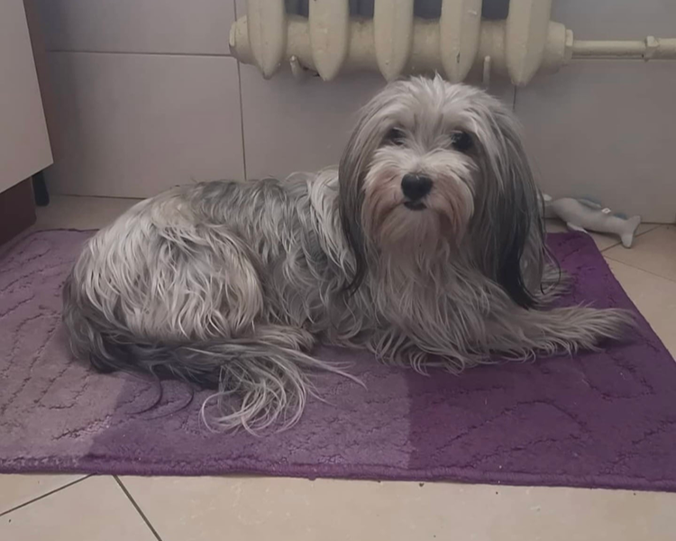 Milka