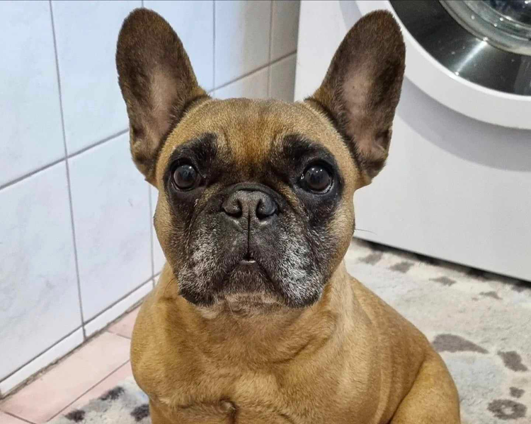 Fiona