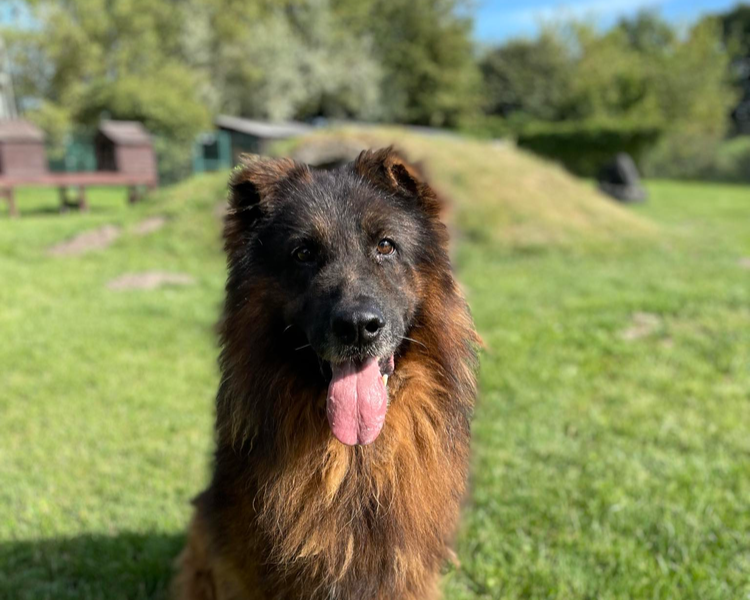 Winston