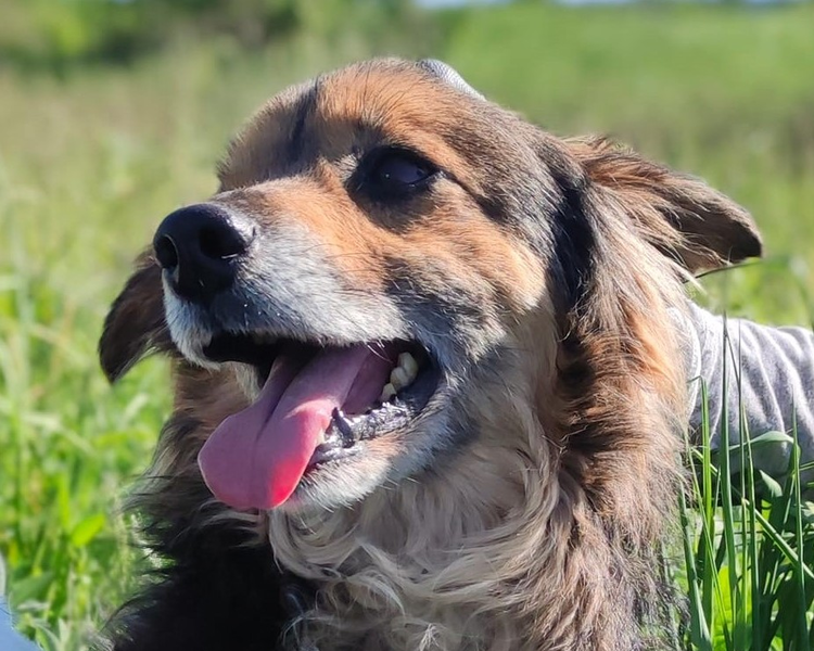 Kuczi